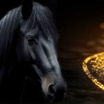 وبینار رایگان اسب تاریک​