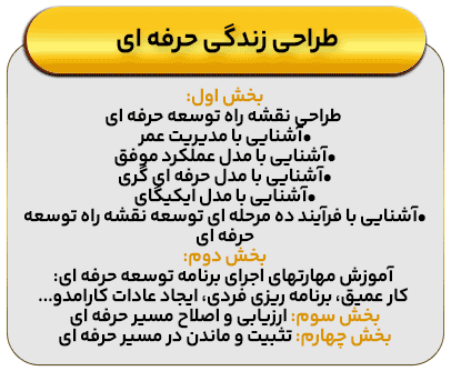 طراحی زندگی حرفه ای